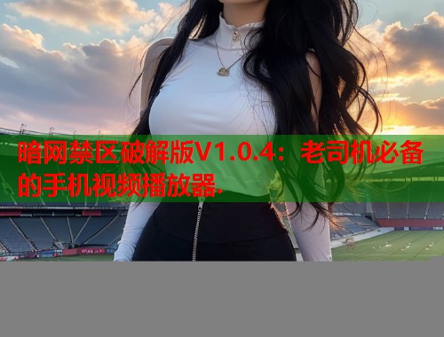 暗网禁区破解版V1.0.4：老司机必备的手机视频播放器.