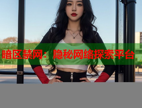 暗区禁网：隐秘网络探索平台  第2张