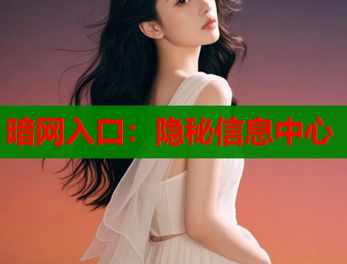 暗网入口：隐秘信息中心