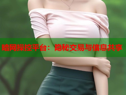 暗网操控平台：隐秘交易与信息共享