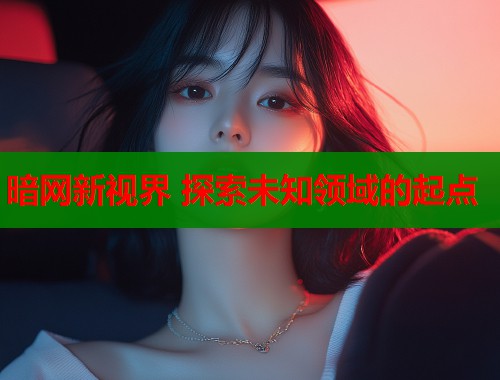 暗网新视界 探索未知领域的起点  第2张