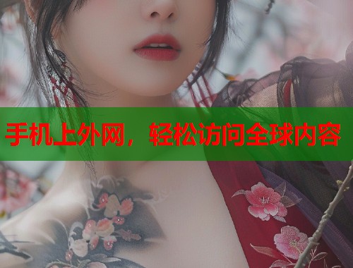 手机上外网，轻松访问全球内容  第2张