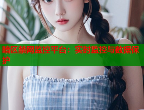 暗区禁网监控平台：实时监控与数据保护