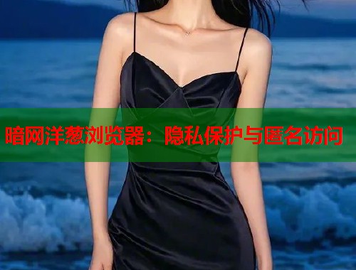暗网洋葱浏览器：隐私保护与匿名访问