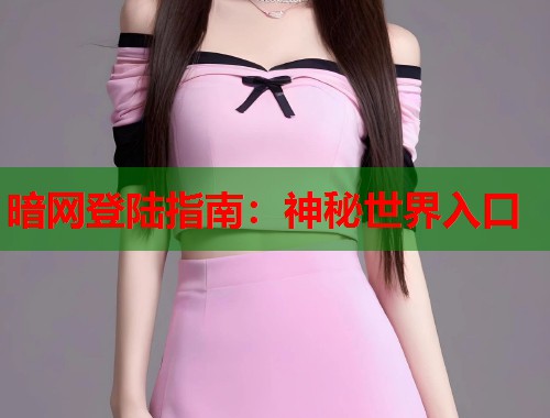 暗网登陆指南：神秘世界入口  第2张