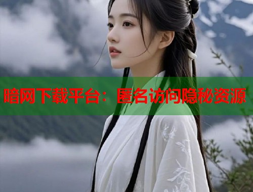暗网下载平台：匿名访问隐秘资源  第2张