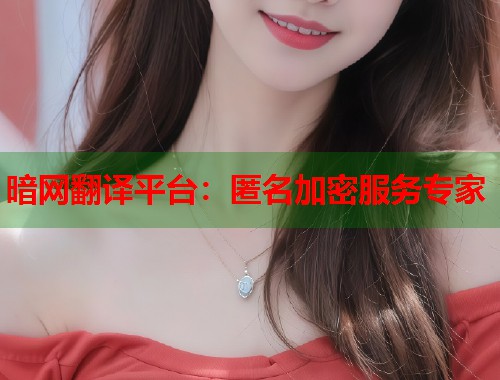 暗网翻译平台：匿名加密服务专家
