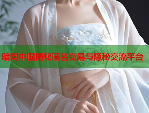 暗网中国揭秘匿名交易与隐秘交流平台