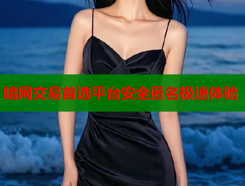 暗网交易首选平台安全匿名极速体验