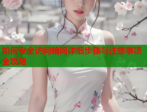 如何安全访问暗网详细步骤与注意事项全攻略  第1张