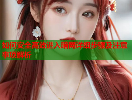 如何安全高效进入暗网详细步骤及注意事项解析  第1张