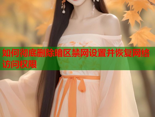 如何彻底删除暗区禁网设置并恢复网络访问权限  第1张