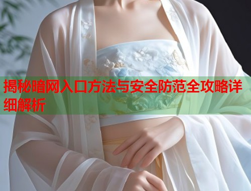 揭秘暗网入口方法与安全防范全攻略详细解析