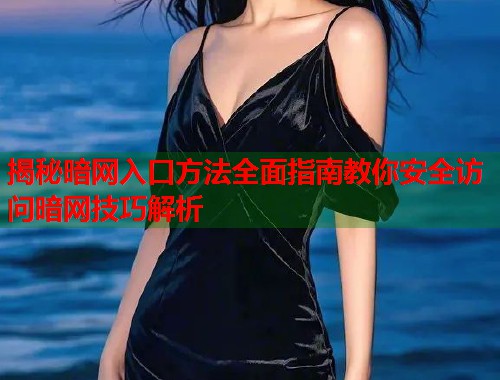 揭秘暗网入口方法全面指南教你安全访问暗网技巧解析  第1张