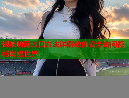揭秘暗网入口方法详解教你安全访问隐秘网络世界  第2张
