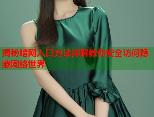 揭秘暗网入口方法详解教你安全访问隐藏网络世界  第1张