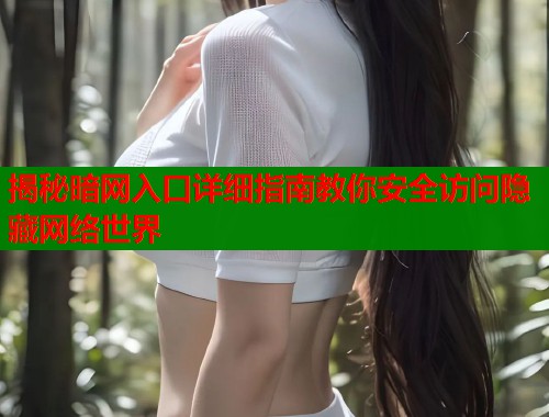 揭秘暗网入口详细指南教你安全访问隐藏网络世界  第1张