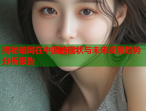揭秘暗网在中国的现状与未来发展趋势分析报告  第2张