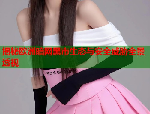 揭秘欧洲暗网黑市生态与安全威胁全景透视  第1张