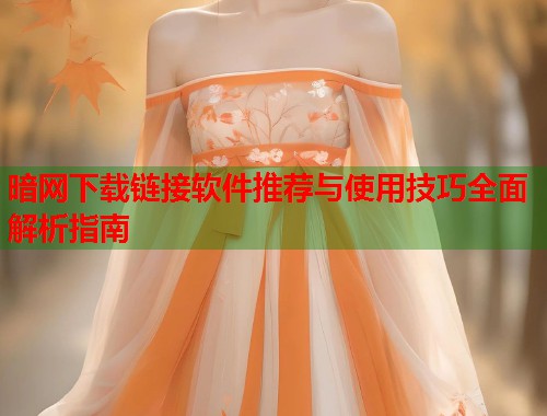 暗网下载链接软件推荐与使用技巧全面解析指南