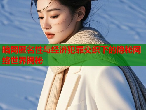 暗网匿名性与经济犯罪交织下的隐秘网络世界揭秘