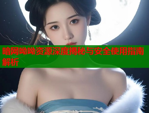 暗网呦呦资源深度揭秘与安全使用指南解析