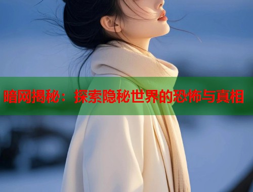 暗网揭秘：探索隐秘世界的恐怖与真相  第1张