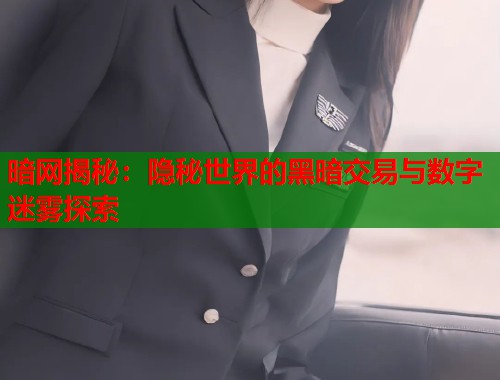 暗网揭秘：隐秘世界的黑暗交易与数字迷雾探索  第2张