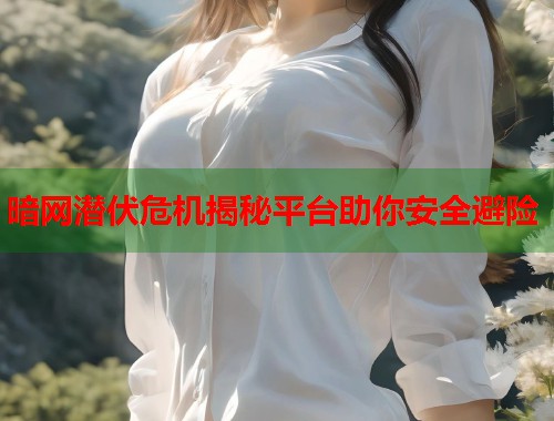 暗网潜伏危机揭秘平台助你安全避险