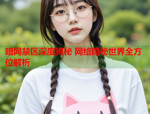 暗网禁区深度揭秘 网络隐秘世界全方位解析