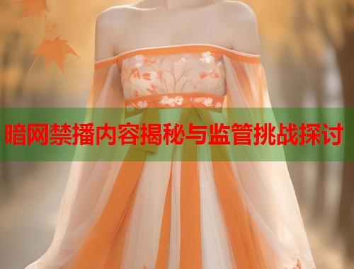 暗网禁播内容揭秘与监管挑战探讨