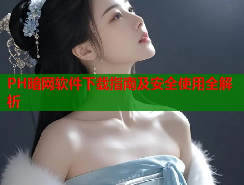 PH暗网软件下载指南及安全使用全解析  第1张