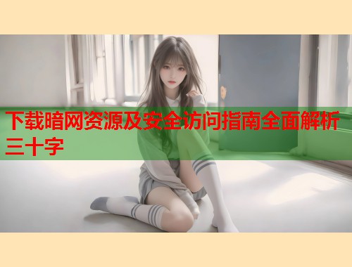下载暗网资源及安全访问指南全面解析三十字  第1张