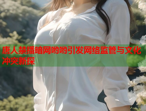 唐人禁播暗网哟哟引发网络监管与文化冲突新探  第2张