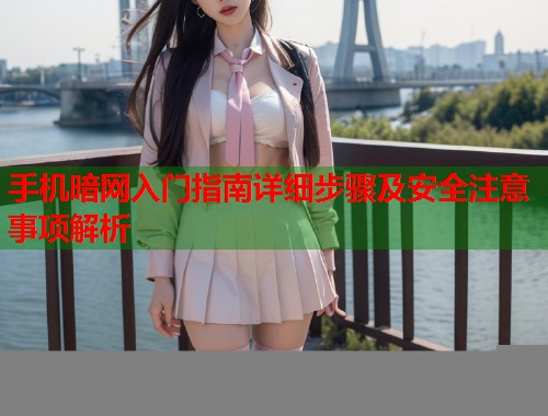手机暗网入门指南详细步骤及安全注意事项解析  第1张