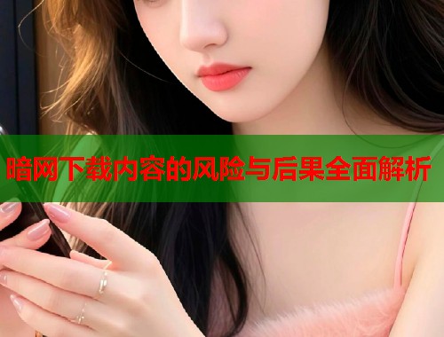 暗网下载内容的风险与后果全面解析  第2张