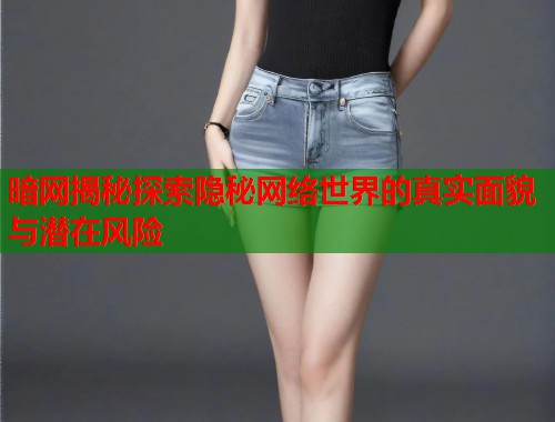 暗网揭秘探索隐秘网络世界的真实面貌与潜在风险