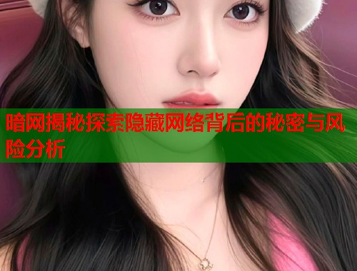 暗网揭秘探索隐藏网络背后的秘密与风险分析