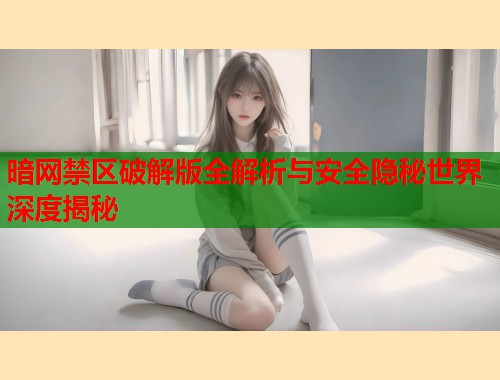 暗网禁区破解版全解析与安全隐秘世界深度揭秘  第2张