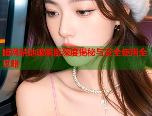 暗网禁地破解版深度揭秘与安全使用全攻略