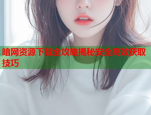 暗网资源下载全攻略揭秘安全高效获取技巧