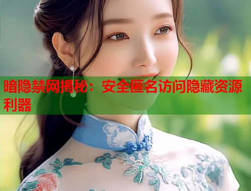 暗隐禁网揭秘：安全匿名访问隐藏资源利器  第2张