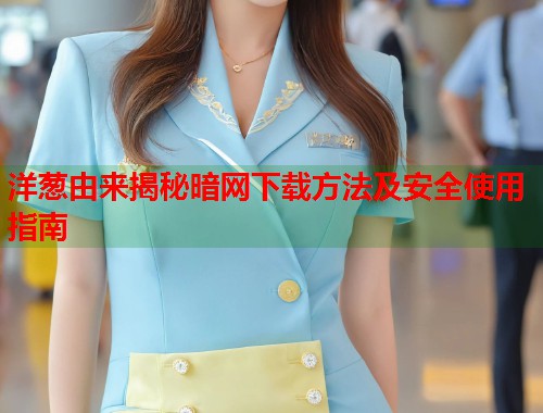 洋葱由来揭秘暗网下载方法及安全使用指南