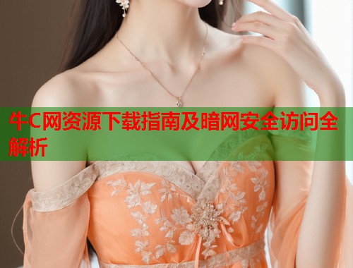 牛C网资源下载指南及暗网安全访问全解析