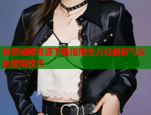 免费暗网资源下载指南全方位解析与安全使用技巧