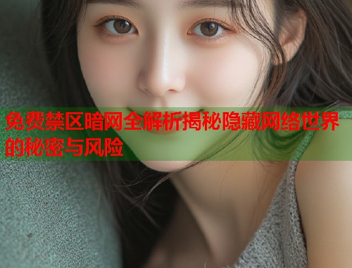 免费禁区暗网全解析揭秘隐藏网络世界的秘密与风险