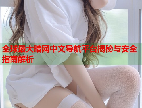 全球最大暗网中文导航平台揭秘与安全指南解析