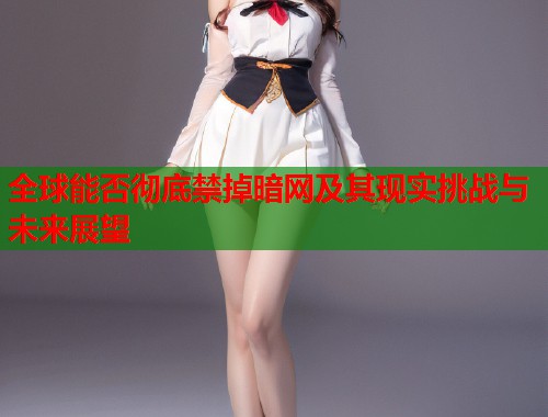 全球能否彻底禁掉暗网及其现实挑战与未来展望