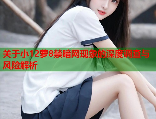 关于小12萝8禁暗网现象的深度调查与风险解析