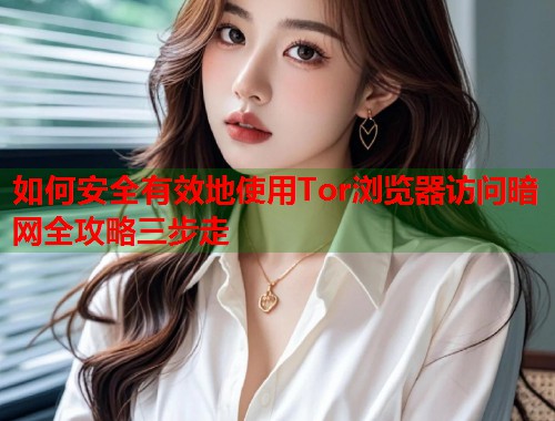 如何安全有效地使用Tor浏览器访问暗网全攻略三步走